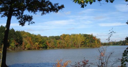 A serene lake surrounded by colorful autumn trees under a clear blue sky.