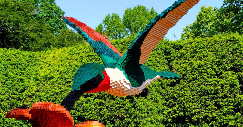 A colorful LEGO sculpture of a kingfisher in flight, perched above a flower, surrounded by lush greenery.