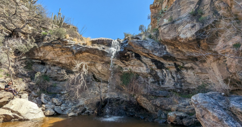 A small waterfall cascades over rocky cliffs into a serene pool, surrounded by desert vegetation under a clear blue sky.