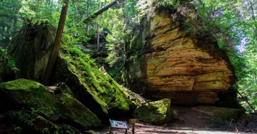 Lush green forest with large moss-covered rocks and a sign along a trail in a serene natural setting.