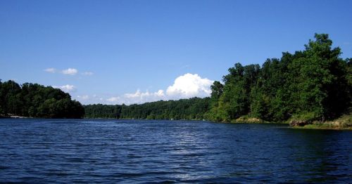 A serene lake surrounded by lush green trees under a clear blue sky with fluffy white clouds.
