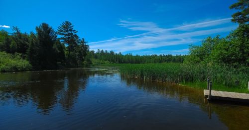A serene lake surrounded by lush greenery and trees under a bright blue sky with wispy clouds.