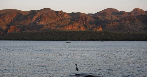 A serene lake scene at sunset, with mountains in the background and a heron standing by the water's edge.