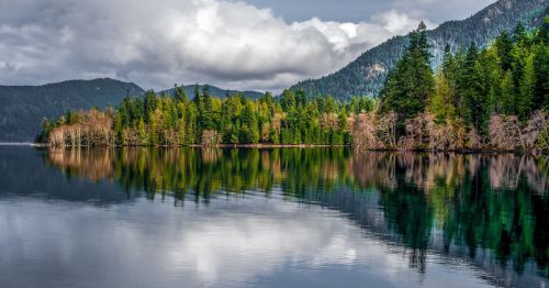 A serene lake surrounded by lush green trees and mountains, reflecting clouds and foliage on the calm water surface.