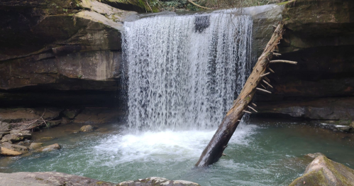 A serene waterfall cascading over rocks into a clear pool, surrounded by lush greenery and a fallen tree trunk.