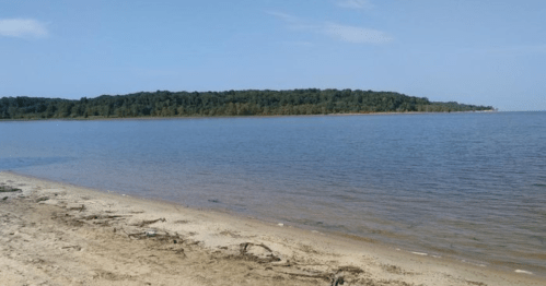 A serene beach scene with calm water and a wooded island in the distance under a clear blue sky.