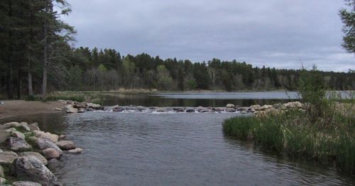 A calm lake surrounded by trees, with a rocky shoreline and gentle ripples on the water under a cloudy sky.