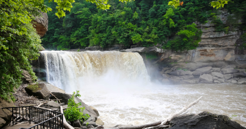 A waterfall cascades over rocks, surrounded by lush green trees and a rocky shoreline.