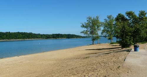 A serene beach scene with sandy shore, calm water, and trees lining the bank under a clear blue sky.