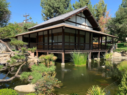 A traditional Japanese-style house on stilts, surrounded by greenery and a tranquil pond with plants and fish.