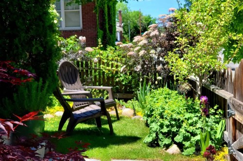 A sunny garden with a wooden chair, lush greenery, colorful flowers, and a wooden fence.
