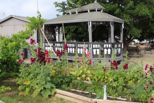 A gazebo surrounded by vibrant flowers and greenery in a serene outdoor setting.