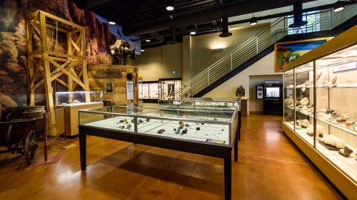 Interior of a museum featuring display cases with artifacts, a staircase, and a mural of a bear on the wall.