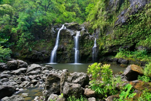 A serene waterfall cascades over rocks into a tranquil pool, surrounded by lush greenery and vibrant plants.