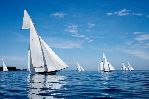 Sailboats with white sails glide across a calm blue sea under a clear sky.