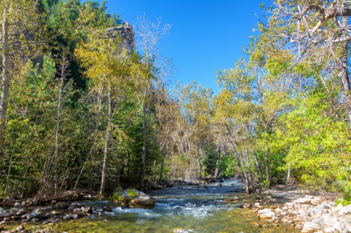 A serene river flows through a forest with vibrant autumn foliage under a clear blue sky.