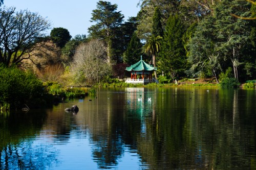 A serene pond with a gazebo surrounded by lush greenery and trees, reflecting in the calm water.