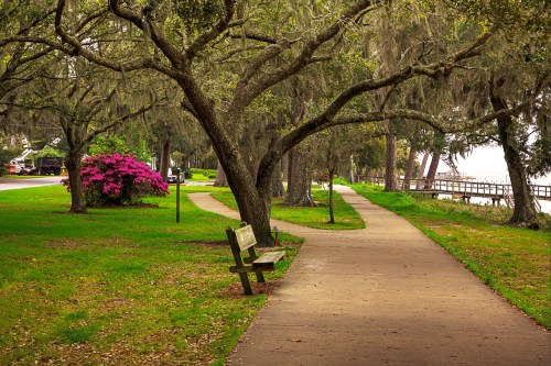 A peaceful park scene with winding paths, trees, and a bench beside vibrant pink flowers.