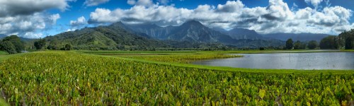 A panoramic view of lush green fields and a serene lake, framed by majestic mountains under a blue sky with clouds.