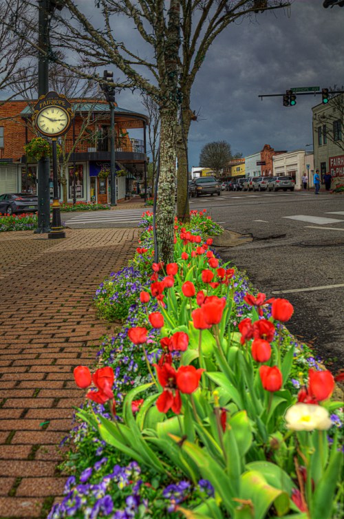A street view featuring vibrant red tulips and purple flowers along a brick sidewalk, with a clock and buildings in the background.