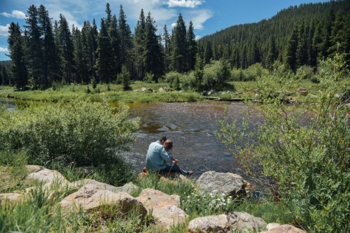 A person sits by a river, surrounded by lush greenery and tall trees under a clear blue sky.