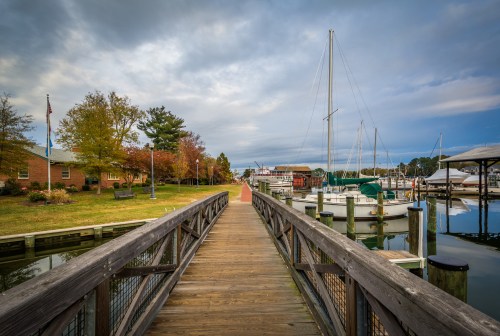 A wooden dock leads to a marina with boats, surrounded by trees and a cloudy sky.