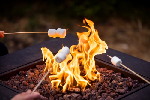 Marshmallows on skewers roasting over a vibrant campfire with glowing flames and rocks in the foreground.