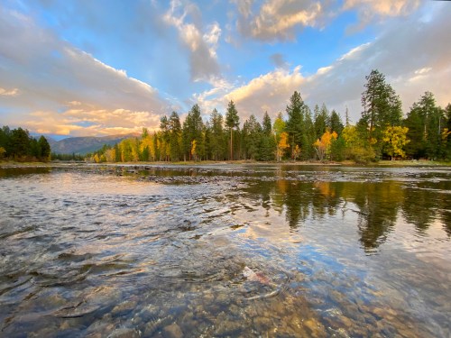 A serene river scene with trees reflecting in the water under a cloudy sky, showcasing autumn colors.