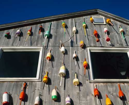 Colorful fishing buoys hanging on a weathered wooden wall against a clear blue sky.