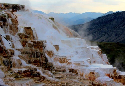 Steam rises from colorful mineral terraces at Mammoth Hot Springs, with mountains in the background under a cloudy sky.