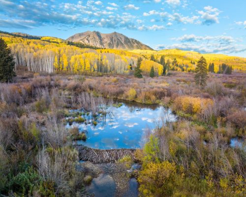 A serene landscape featuring a pond reflecting autumn foliage and mountains under a blue sky with scattered clouds.