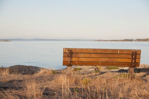 A wooden bench facing a calm body of water, surrounded by dry grass and distant mountains under a clear sky.