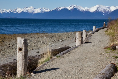 A scenic shoreline with logs lining a gravel path, mountains in the background, and a clear blue sky.