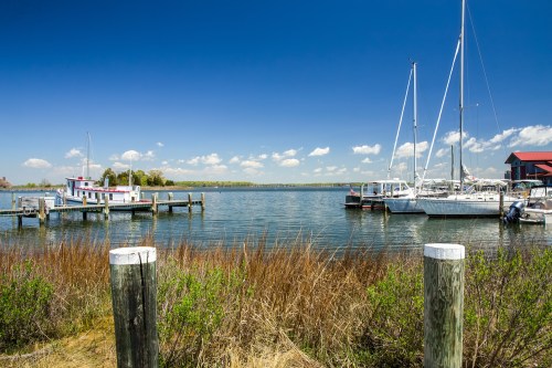 A serene waterfront scene with boats docked, blue skies, and lush greenery along the shore.