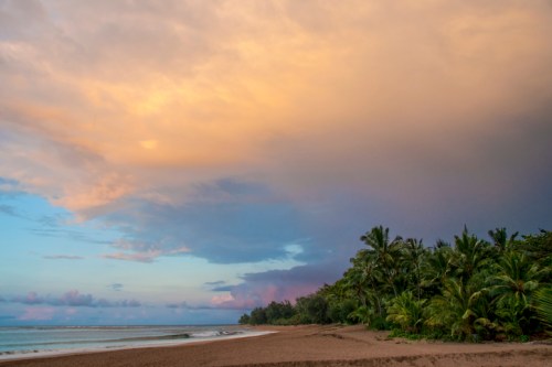 A serene beach at sunset, with colorful clouds and lush palm trees lining the shore.