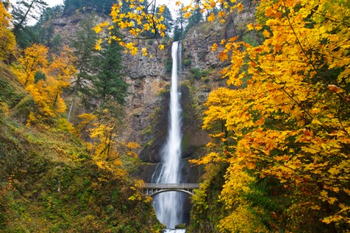 A stunning waterfall cascades down rocky cliffs, surrounded by vibrant autumn foliage and a stone bridge below.