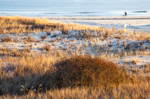 A sandy beach with tall grass and a bush in the foreground, and a person walking along the shoreline in the background.