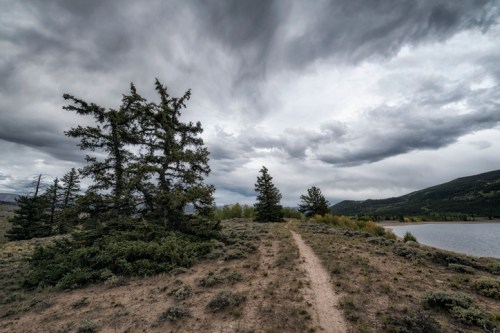 A winding dirt path leads through a landscape of shrubs and trees under a cloudy sky near a calm lake.