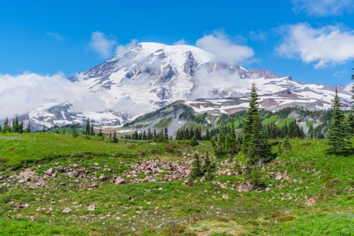 A scenic view of a snow-capped mountain surrounded by green meadows and trees under a clear blue sky.
