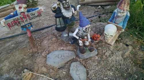 A whimsical scene featuring gnome statues, a skull, and a sign warning about the "Brigade of Gnomes" in a garden setting.