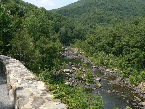 A serene river flows through a lush green landscape, surrounded by trees and mountains under a clear blue sky.