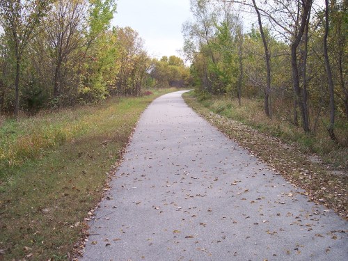 A winding path through a tree-lined area, covered with fallen leaves, surrounded by greenery.