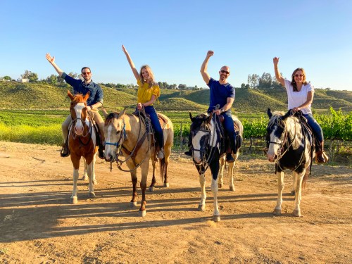 Four people on horseback wave cheerfully in a vineyard setting under a clear blue sky.