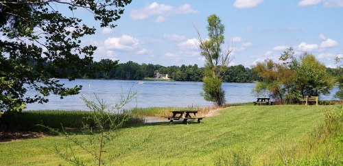 A serene lakeside view with green grass, picnic tables, and trees under a blue sky with fluffy clouds.