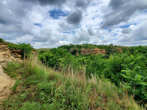 Lush green landscape with rocky cliffs under a cloudy sky, showcasing a vibrant natural setting.