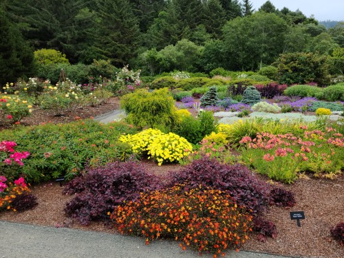 A vibrant garden filled with colorful flowers and lush greenery, surrounded by trees and pathways.