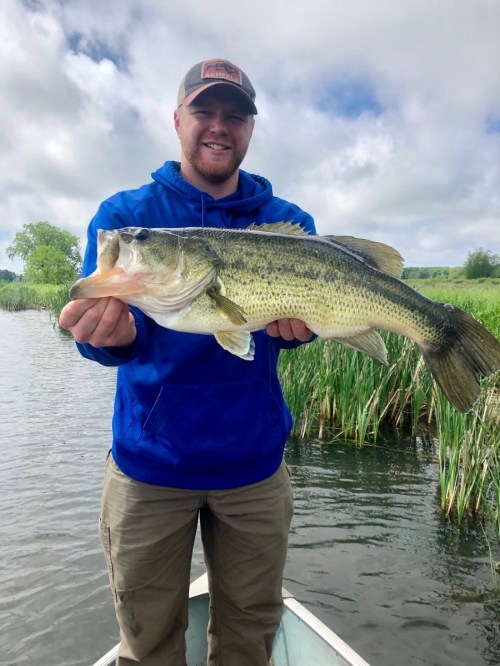 A person in a blue hoodie holds a large bass fish while standing in a boat on a lake surrounded by greenery.