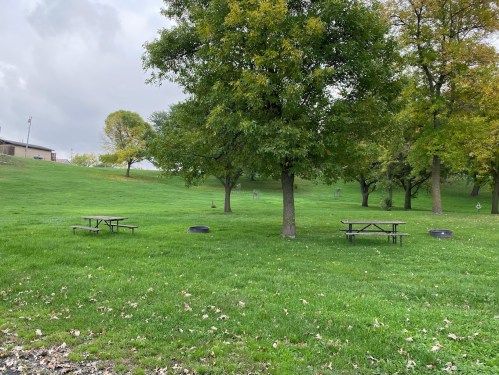 A grassy park area with several picnic tables under trees, set against a cloudy sky.