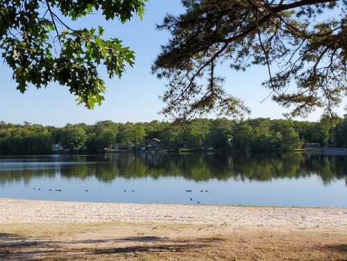 A serene lake scene with a sandy shore, surrounded by trees and reflecting the clear blue sky.