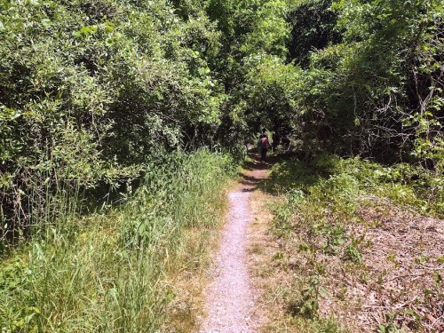A narrow dirt path winds through lush greenery and trees, with a person walking in the distance.